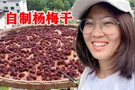 婆媳上山采鲜杨梅，制成杨梅干，酸甜可口很开胃，做法还简单视频封面