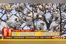 樱花梅花玉兰花……最高气温破25℃，湖南省植物园满园春色视频封面