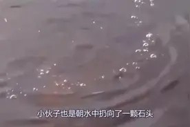 小伙发现水面有异常，走进一看被吓到了，抄起石头就砸过去视频封面