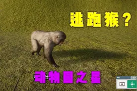 这个动物园只有一只猴子？而且还逃跑了两次！我太难了视频封面