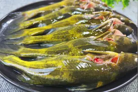 爱吃黄骨鱼一定要收藏，大厨教你独特做法，鲜嫩入味不腥，太香了