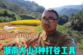 湖南大山常见的3种打谷子工具，能认识全的，基本上七老八十了！视频封面