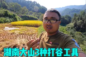 湖南大山常见的3种打谷子工具，能认识全的，基本上七老八十了！视频封面