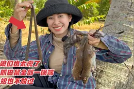 越南娘们也太虎了，稻田抓田鼠全部一锅端，就连蛇也不放过视频封面