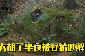 荒野建造：大胡子丛林建造庇护所，半夜被野猪吵醒视频封面