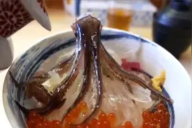 奇趣：日本人首创“骨泳”，将活鱼割肉再扔回鱼缸，观看鱼骨游泳视频封面