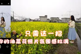 只需一招，让花布满画面，油菜花照片就会变得更美！视频封面
