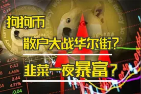 狗狗币4个月涨幅8000%，是散户的胜利，还是华尔街的阴谋？视频封面