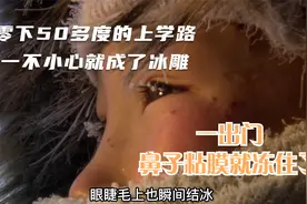 上学不是零下50多度就是零上50多度，一不小心就成了冰雕或者烤肉视频封面