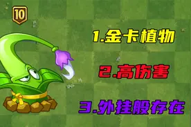 鱼钩草到底有多么厉害！