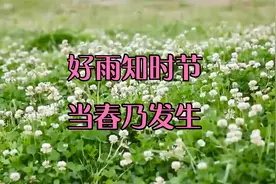 眼睛能看到的地方叫视力，眼睛看不到的地方叫眼光。视频封面