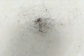 家里到处都是头发？3个简单方法，地面立马干净，一根头发都没有视频封面