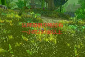 魔兽世界怀旧服法师刷祖尔格拉布收入实测，一小时200金以上视频封面