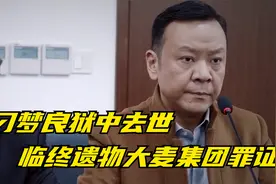 风雨送春归：刁梦良狱中去世，临终遗物大麦集团罪证，麦思源吓傻视频封面