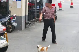 上海警方试点公共视频取证执法，遛狗不牵狗绳可能会被拍视频封面