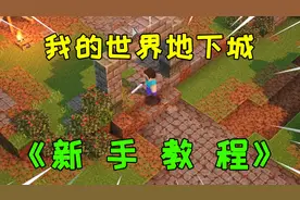 我的世界地下城攻略：小振的超超超级详细的新手教程，我够细嘛？