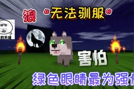迷你世界：狼永远不能被“驯服”绿色眼睛的狼，是狼群中凶狠恶狼视频封面