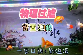 养鱼笔记第2季14集：设置鱼缸物理过滤时，只要记住一个秘诀视频封面