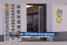 高密：搭平台抱团发展 激活乡村振兴新动能视频封面