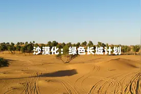 植树造林：绿色长城计划视频封面