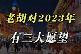 老胡对2023年有三大愿望，看看哪个和你的愿望是一致的视频封面