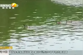 新一轮降雨来了！未来20天陕西进入多雨时段,须加强防范|都市快报视频封面