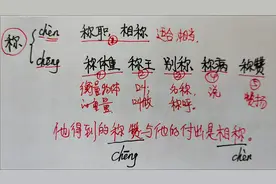 “称”的两个读音五个词义你真的懂了吗？会了，基础就能得高分！视频封面