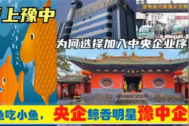 中央上收豫中许昌郑州平顶山漯河郏县6明星企业，从此豫企变央企视频封面