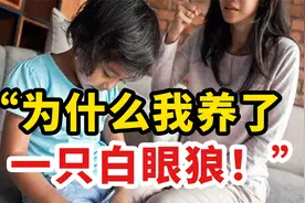 “我的孩子，为何变成一只白眼狼”：揭露中国式家庭的一大通病视频封面