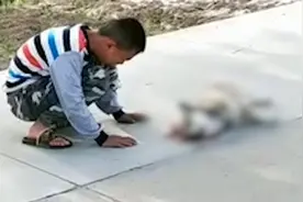 狗狗被车碾压身亡，小男孩蹲在身边捶地痛哭，网友直呼太心疼视频封面
