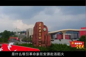 税务青年学党史丨弘扬“安源精神” 绽放时代光芒视频封面