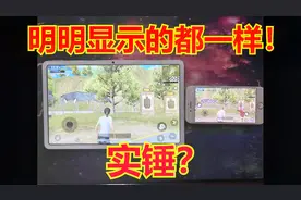 平板VS手机 这个是最终答案 分辨率终极揭秘【豆逼说】视频封面