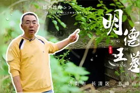 现存最大的明亲王墓原来在济南，盗贼仅通过三个盗洞，就洗劫一空视频封面
