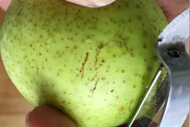 秋冬季要多吃梨，教你新鲜做法，勺子搅一搅，出锅嫩滑多汁还好吃视频封面