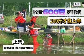 收费600豆罗非坑人均200斤，再次抽到浅水位这次危险了……