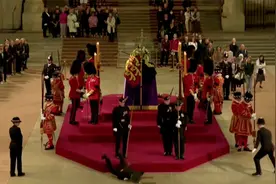 英国一卫兵为女王灵柩守夜时突然晕倒 直挺挺向前倒下拍在地板上视频封面