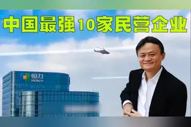 2022年中国最强的10家民营企业排行榜，原来马云也只是一个小喽啰视频封面