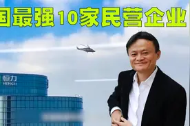 2022年中国最强的10家民营企业排行榜，原来马云也只是一个小喽啰视频封面