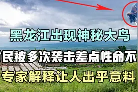 黑龙江惊现神秘巨雕，村民被多次袭击差点丢了性命，专家查明真相视频封面