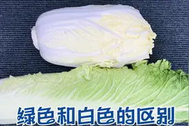 买大白菜时，选白色的还是选绿色的？菜农告诉我3点，涨涨知识吧