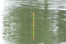 钓鱼时总空竿？原来主要问题在这里，看漂抓口有技巧一抓一个准