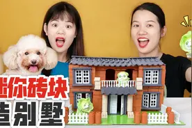 迷你砖块为狗狗造别墅！双层小屋还有花园，你觉得泥瓦匠手艺如何视频封面
