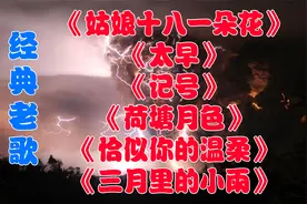 《太早》《记号》《荷塘月色》《恰似你的温柔》《三月里的小雨》