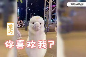 我真的很担心你会朝我吐口水，但是还是喜欢你视频封面