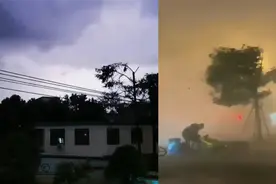 实拍杭州暴雨：电闪雷鸣大树“断腰”疾风掀翻路人 大雨仍将持续视频封面