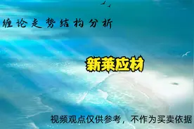 新莱应材走势结构分析 3.15视频封面