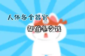 你身体的各个器官到底有多值钱？加起来总价达3亿人民币！视频封面