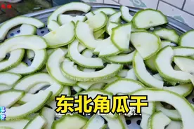 东北农村角瓜干咋晾？农民储存冬干菜，大锅炖小鸡这伙食没谁啦