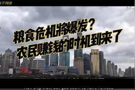 中国身为粮食大国，农民怎么赚钱视频封面