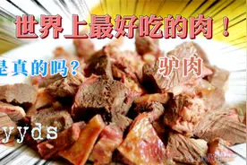 “天上龙肉，地下驴肉”，驴肉不愧是世界上第二好吃的肉！视频封面